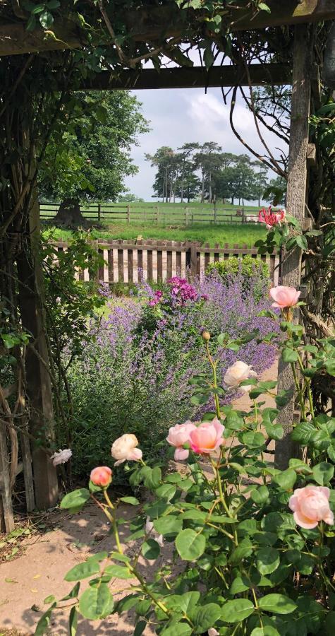 Yew Tree Farm Bed & Breakfast Eaton  Exterior photo