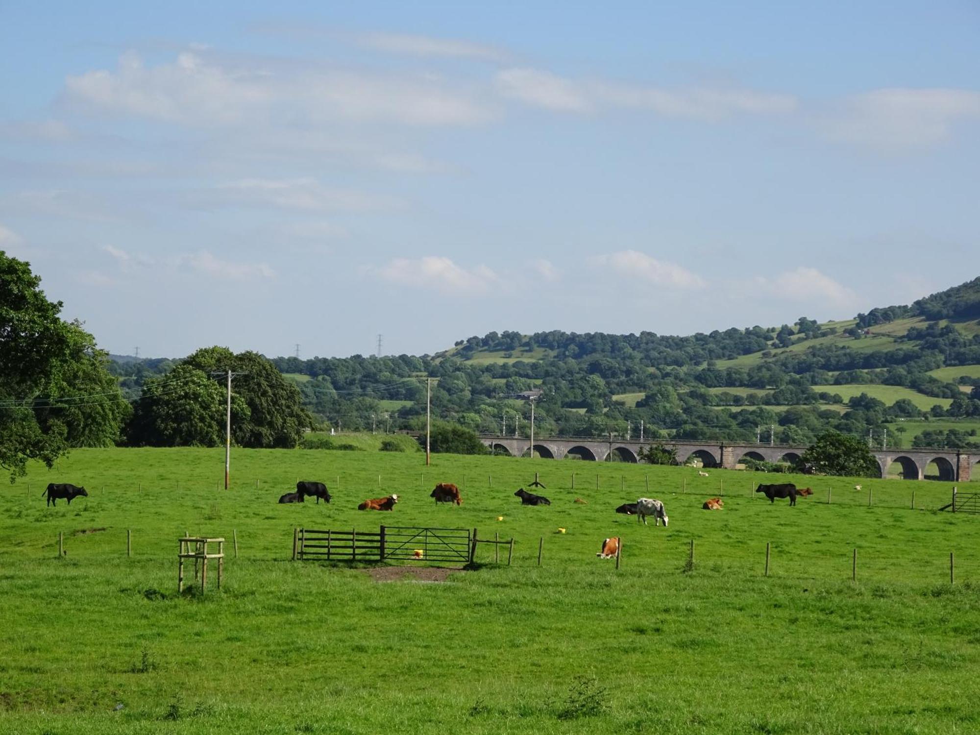 Yew Tree Farm Bed & Breakfast Eaton  Exterior photo